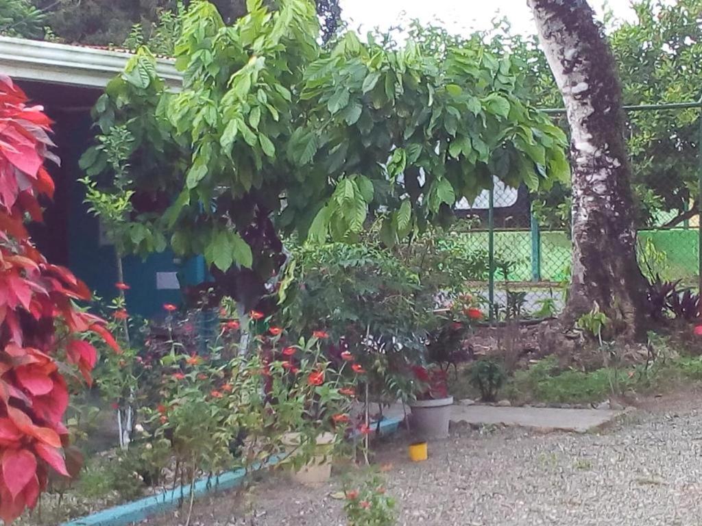 Cabinas Surf Side Cahuita Ngoại thất bức ảnh