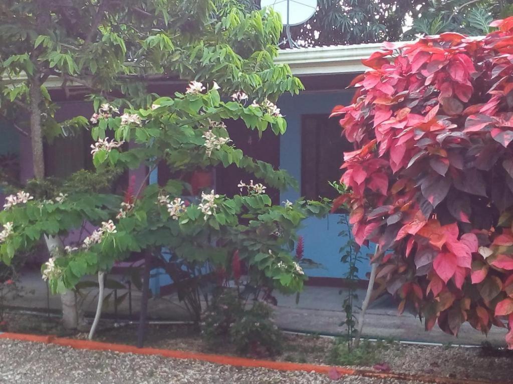 Cabinas Surf Side Cahuita Ngoại thất bức ảnh