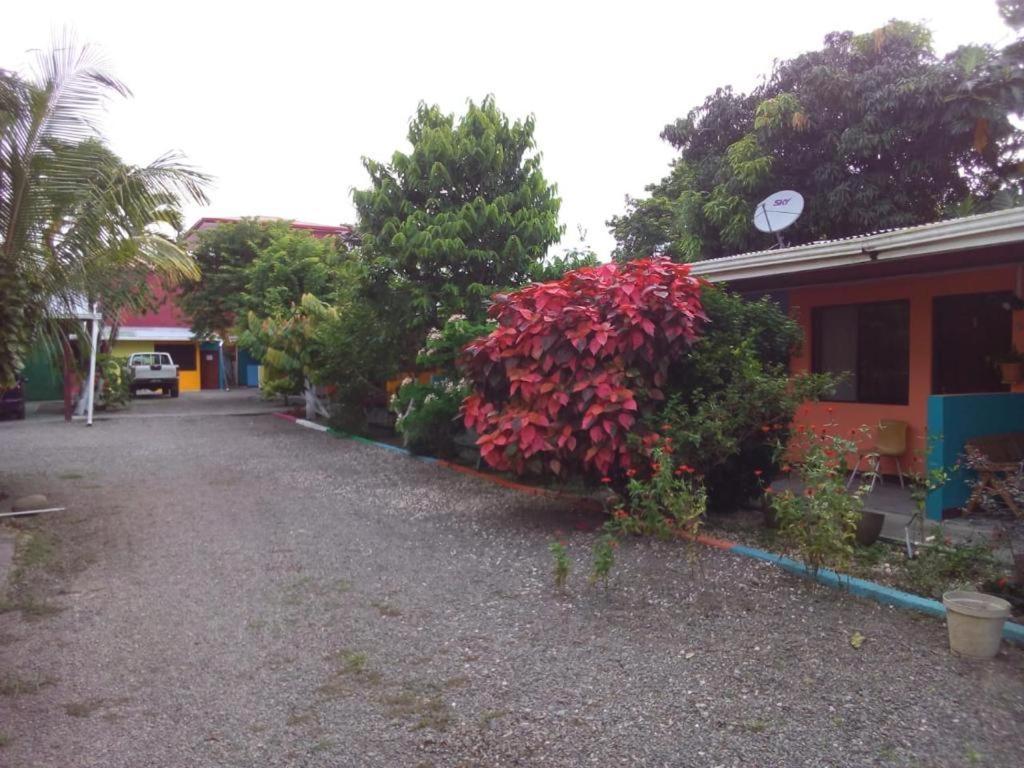 Cabinas Surf Side Cahuita Ngoại thất bức ảnh
